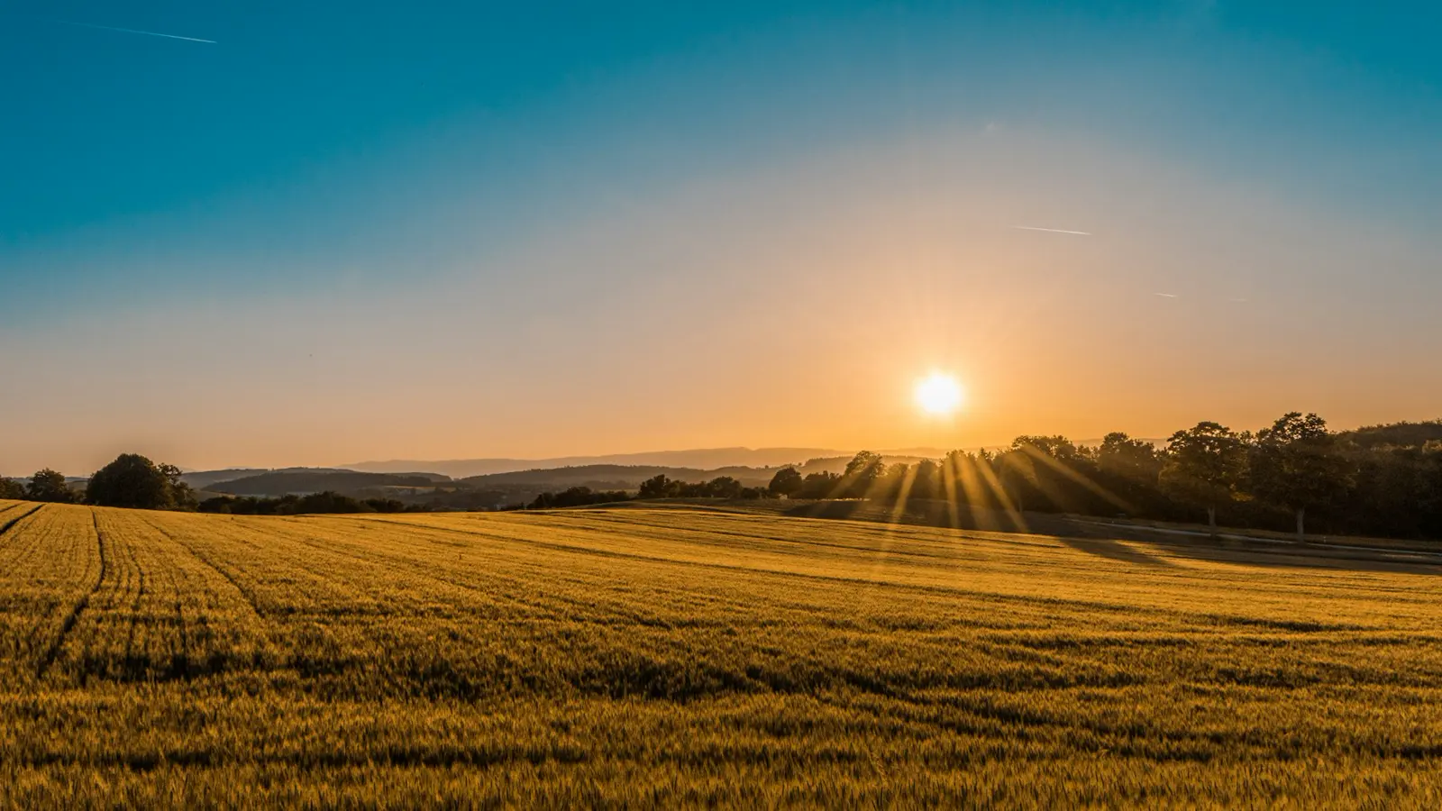 Stock photo of open ranch grassland and a distant barn, used to suggest Helotes Hill Country lot character